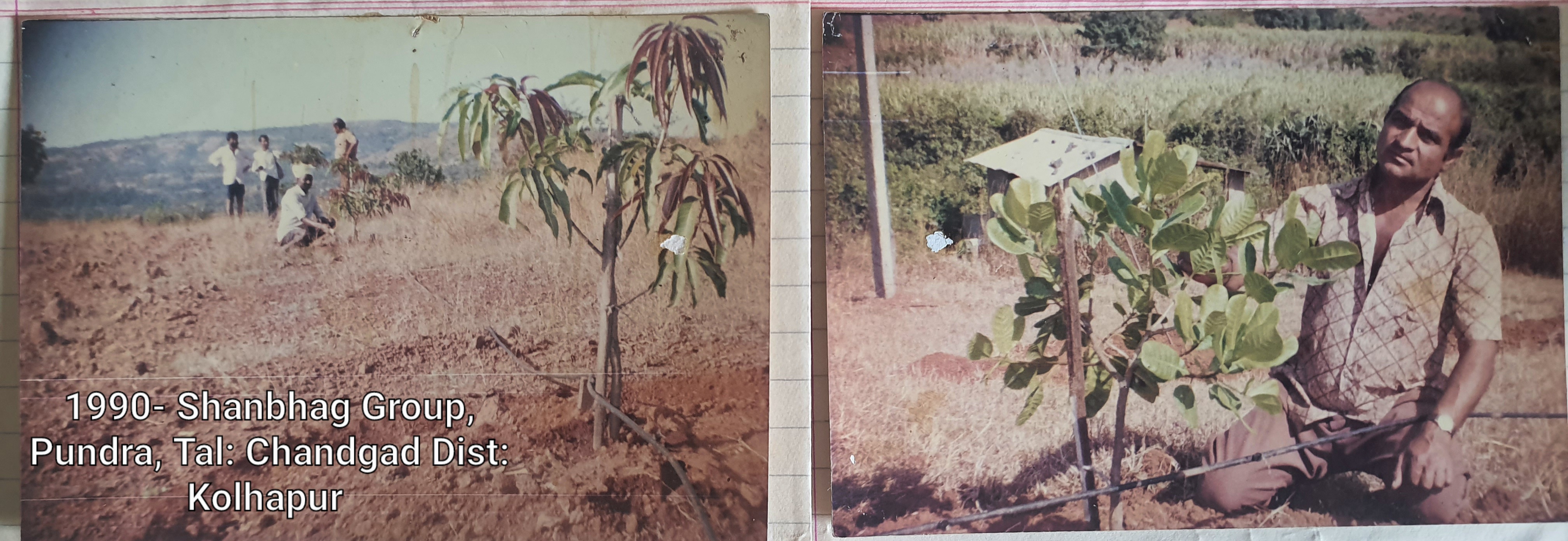 Drip Irrigation Services since 1990 project image 11